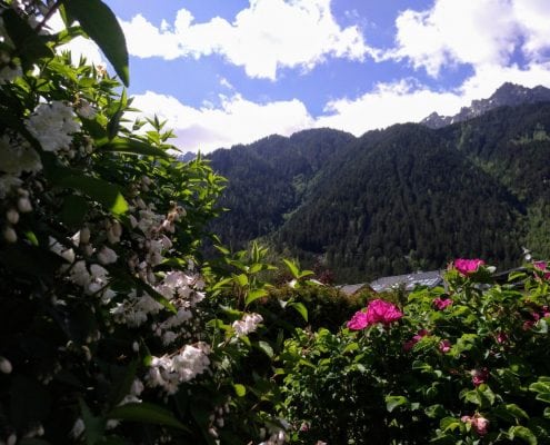 Beautiful Garden With A Stunning Chamonix Vista